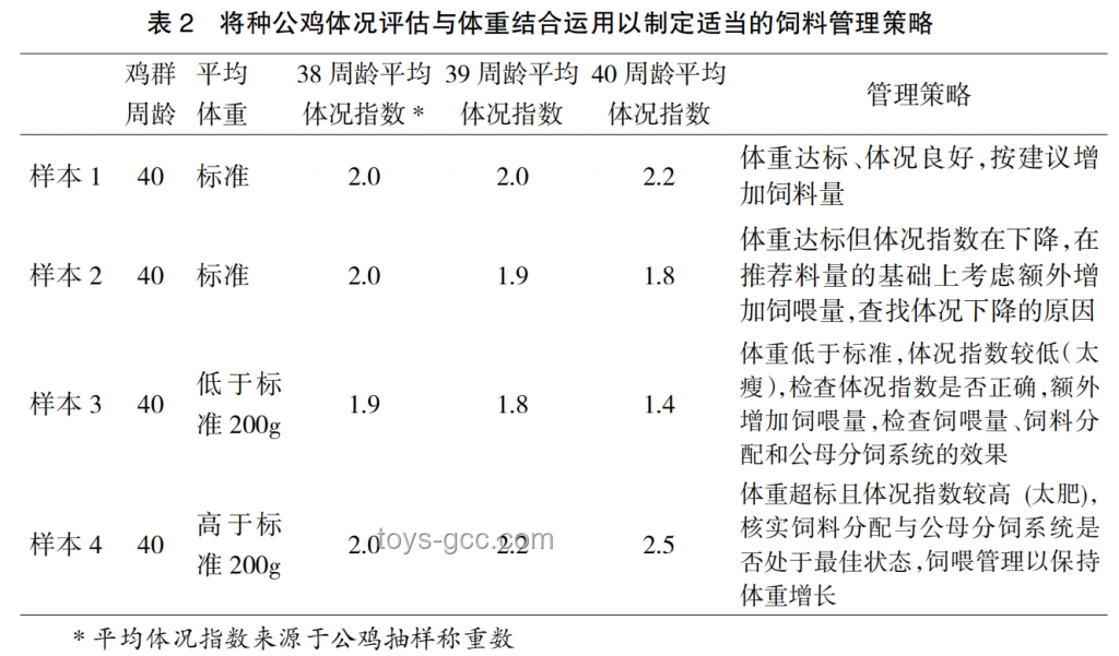 男性硬度和時(shí)間不夠，專業(yè)分析與改善策略