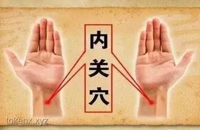 你身上最沒用的器官？每天還在拼命工作的扁桃體解析