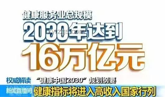 南京紅老頭事件：律師深度解讀刑責與行業警示