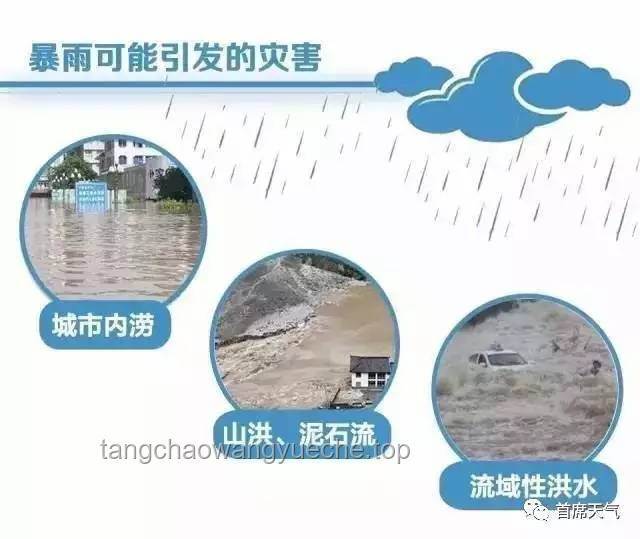 熱射病前兆預警與防控策略洞察
