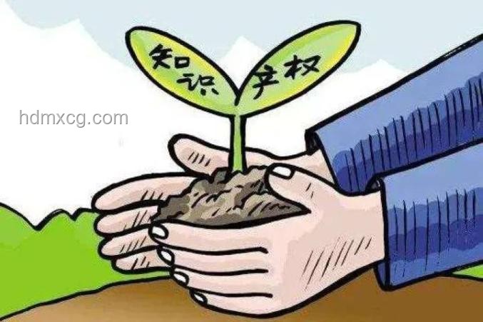 杭州良渚日文化輸出新高度，《良渚文明的五重奏》動畫全球首發洞察