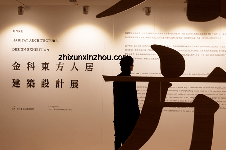 單依純退賽啟示：重塑自我邊界，探索非典型天后之路