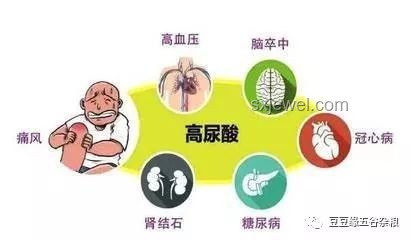 心衰趨勢(shì)下的飲食新智慧：涼水VS三禁物，跨界健康守護(hù)