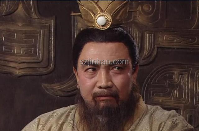 劉備多子，為何傳位于劉禪？