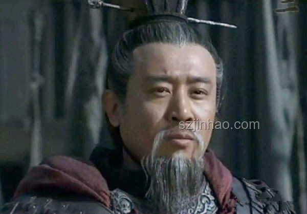 劉備多子，為何傳位于劉禪？