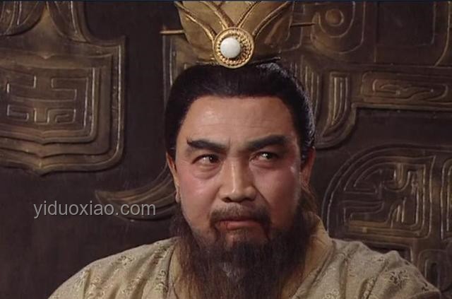 劉備多子，為何傳位于劉禪？