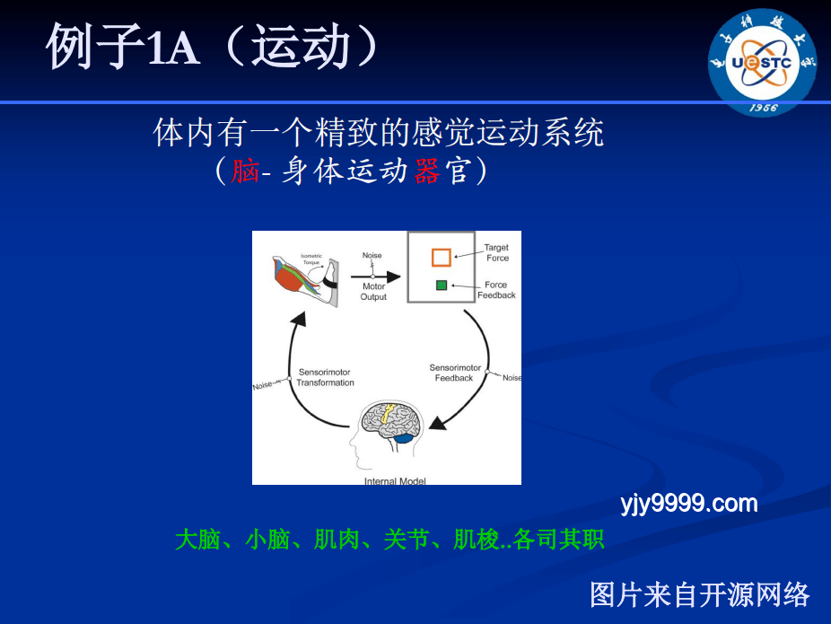 如何判斷并緩解“腦腐”：多學科專家教你應對電子產品依賴