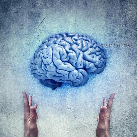 過度依賴電子產(chǎn)品致“腦腐”？判斷與緩解策略