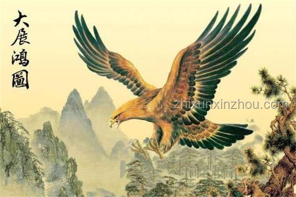 如何評(píng)價(jià)及解讀《大展鴻圖》的爆火？