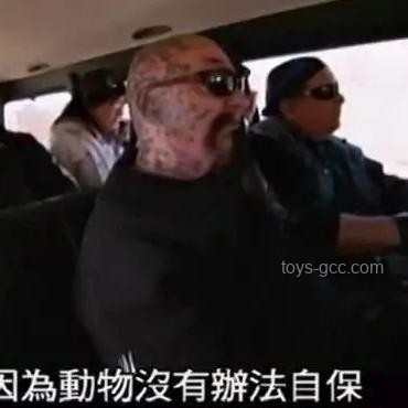 動物睡覺自保能力弱，為何未被自然淘汰？