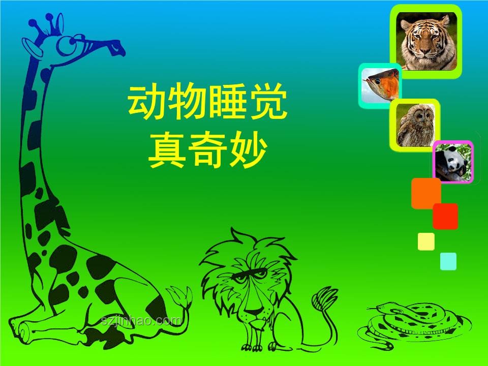 動物睡眠之謎：為何未被淘汰？