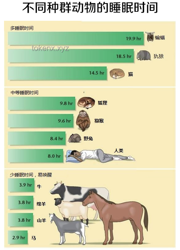動物睡眠與自保能力：自然演化的奧秘