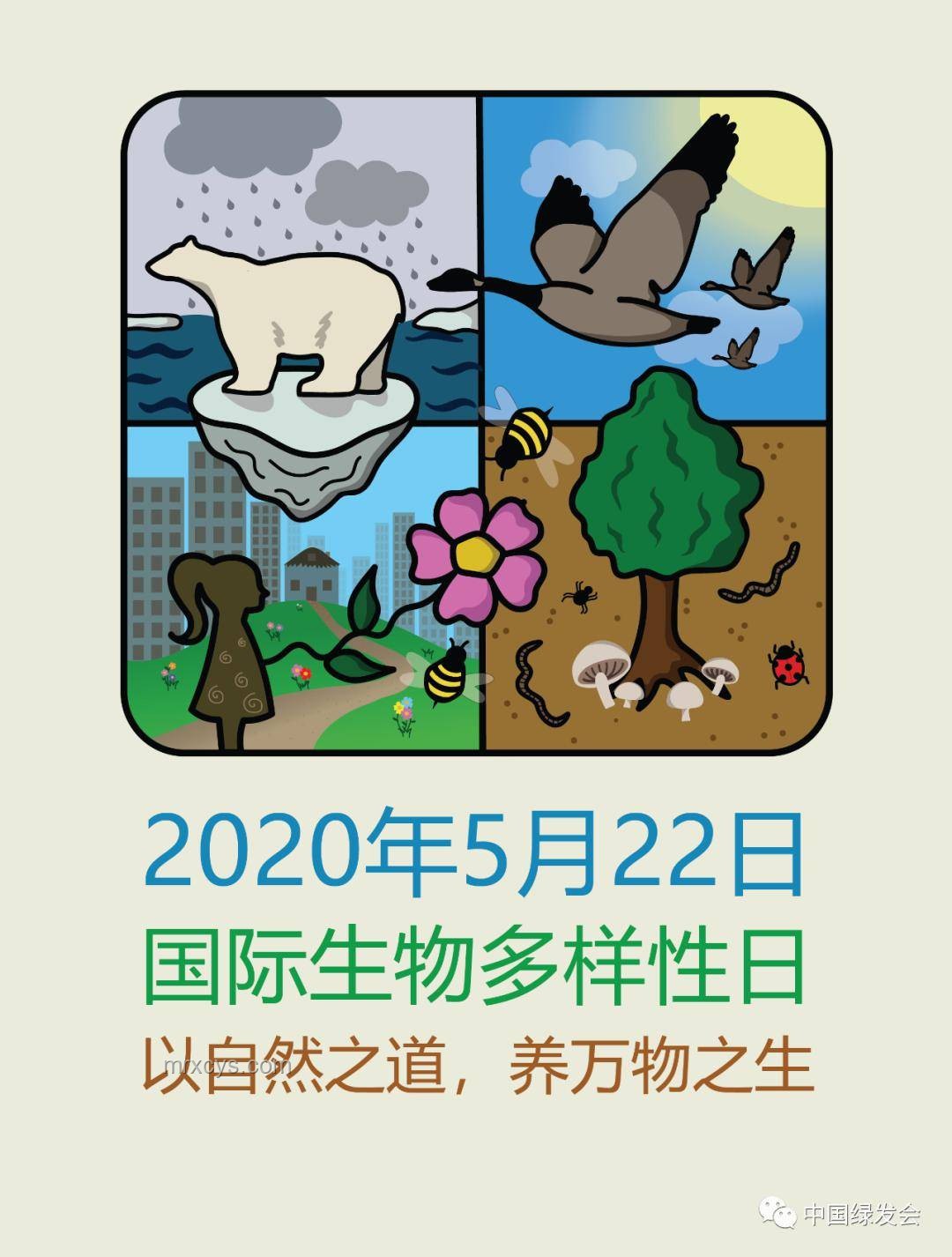 動物睡眠自保趨零，為何未被自然淘汰？實用解析