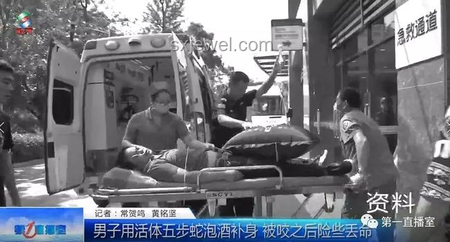 毒蛇咬傷急救知識：凝血功能崩潰的驚險案例