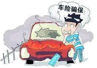 毒蛇咬傷案例對比：凝血功能崩潰的警示