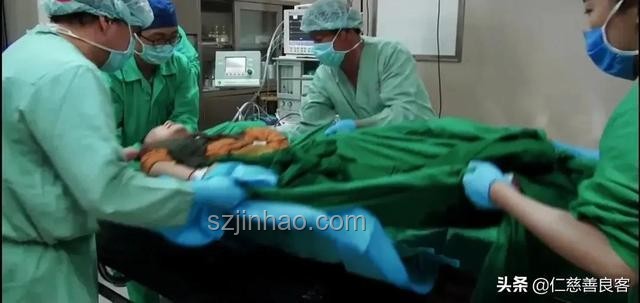 22號(hào)毒蛇咬傷女子凝血崩潰案例研究