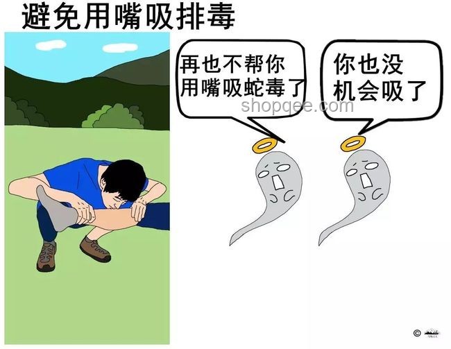 毒蛇咬傷救治挑戰與行業洞察