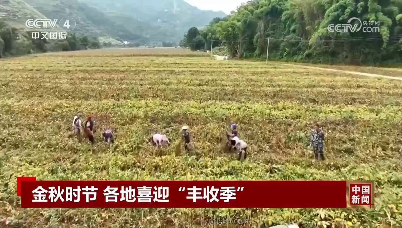 鄉村小學：灌溉希望的田野，點燃夢想的火種??