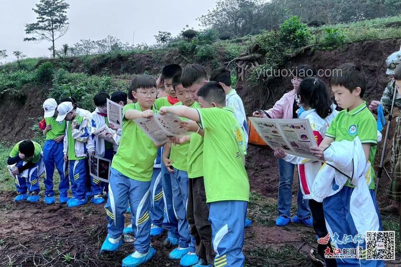 鄉村小學：鄉村振興之魂，灌溉種子，點燃夢想
