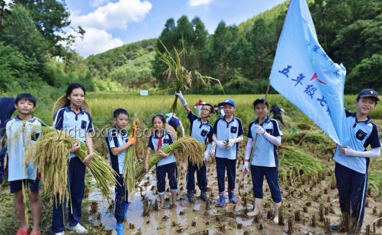 鄉村小學：鄉村振興之魂，灌溉種子，點燃夢想