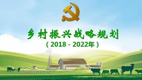 鄉(xiāng)村小學(xué)振興策略：灌溉知識(shí)種子，點(diǎn)燃鄉(xiāng)村夢(mèng)想