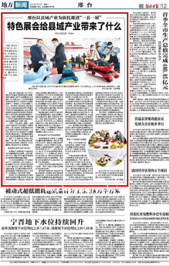 鄉村小學與鄉村振興：教育之魂的深度對比分析