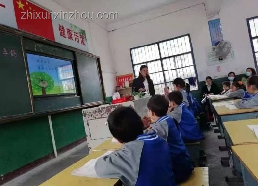鄉村小學與鄉村振興：教育之魂的深度對比分析