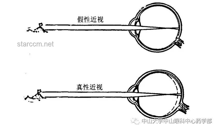原來被鏡子騙了這么多年！鏡子, 光學原理, 視覺錯覺, 真實形象, 平面鏡
