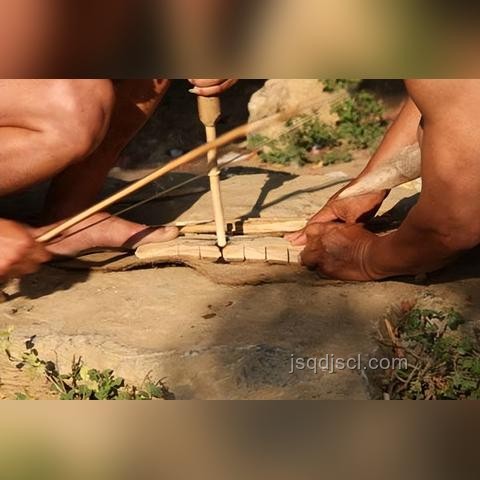 植物大戰僵尸融合版：理智與狂歡的周年慶趨勢預測