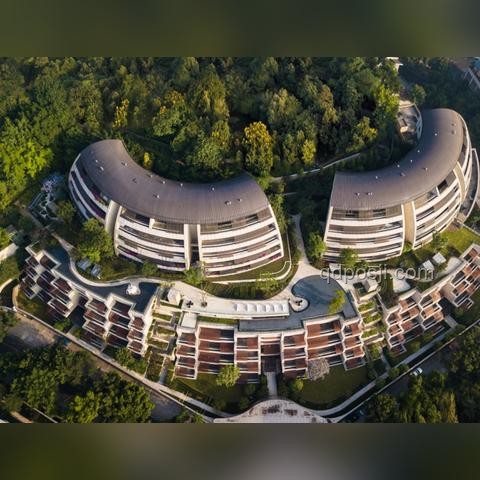 植物大戰(zhàn)僵尸融合版周年慶：我的理智邊緣與狂歡之旅??