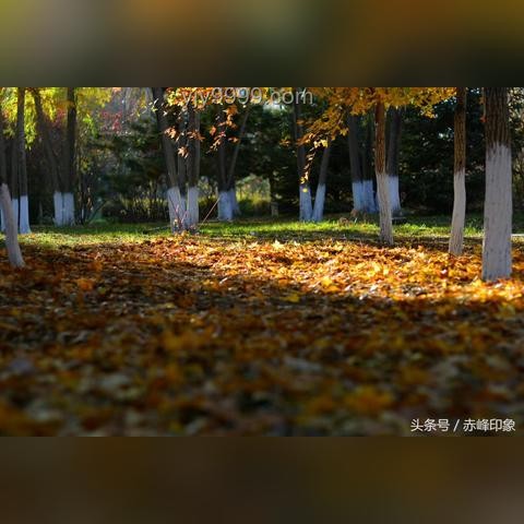 心事分享起始點對比分析：何時開始傾訴