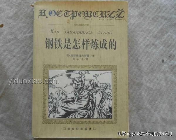 《鋼鐵是怎樣煉成的》與虛構作品《瓦學弟是怎樣煉成的》對比分析
