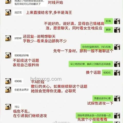 高手過招，招招有曲：兩大頂尖搜索引擎對比分析