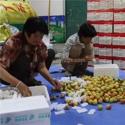 用《莫愁鄉(xiāng)》英文版撩外國(guó)女生的奇妙之旅