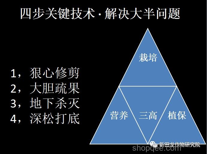 絕對壓制策略在市場競爭中的應用案例