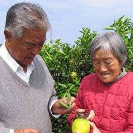 上來就是無期？我的創業坎坷路