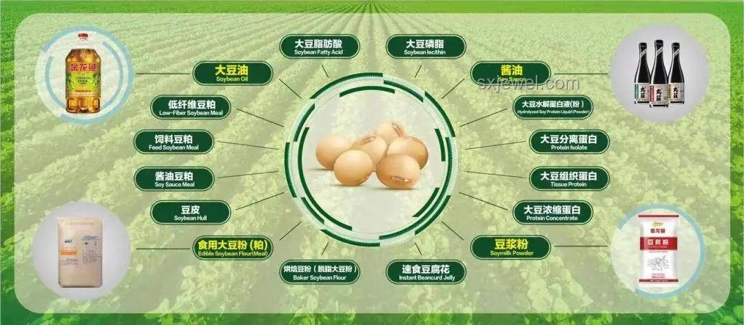 今天喜提新車新裝備，助力鄉村糖水產業革新