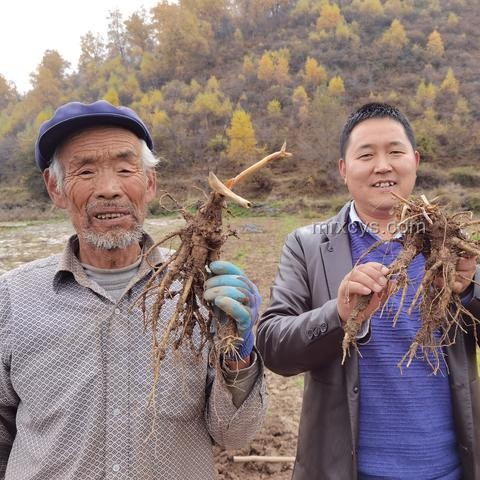 ??從零到一，我的自媒體創業之旅