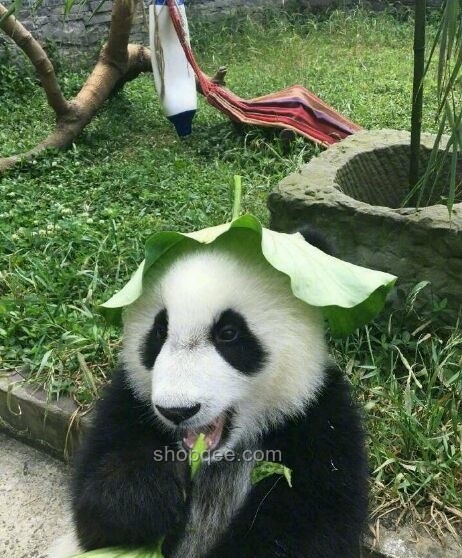 打造我的清涼家，夏日避暑小妙招????