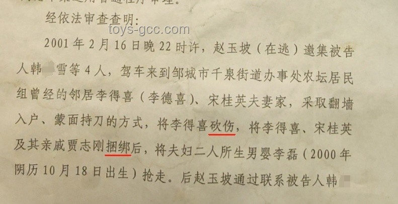 入室搶嬰案孩子母親申訴策略與解決方案