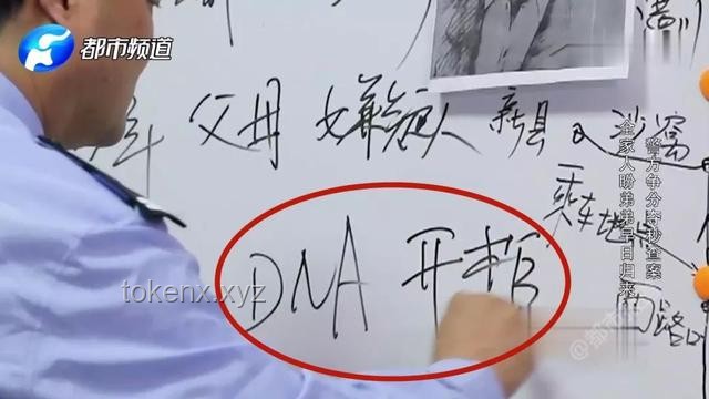 入室搶嬰案母親不屈：申訴之路的堅持與愛????