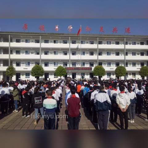 未成年暴力事件頻發：校園安全與教育引導亟需加強
