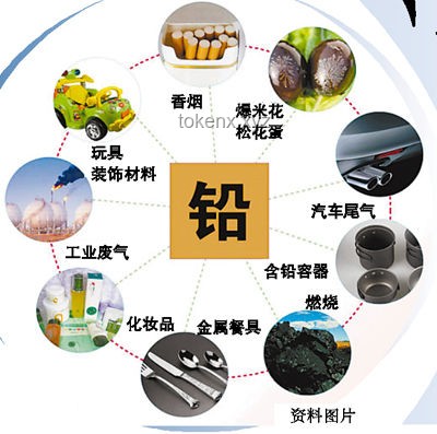 鉛中毒與認知愚昧：本質與責任對比分析