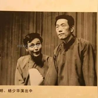 楊少華經典作品深度回顧與分析