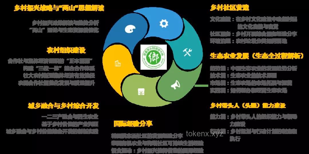項目推動方式選擇：自上而下還是自下而上？