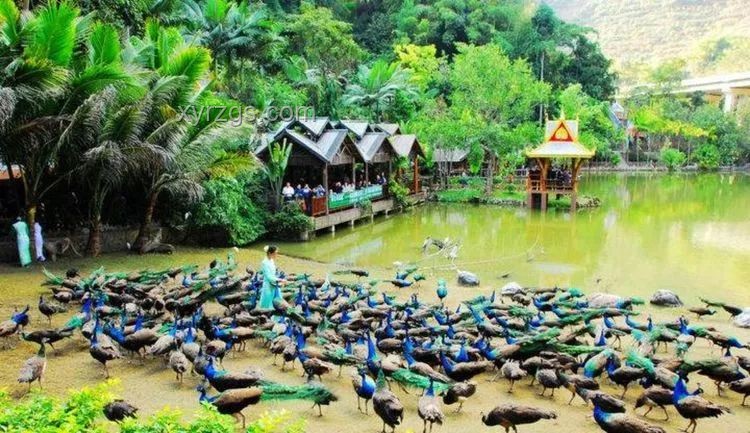 2026年避暑旅居新風(fēng)尚：云南引領(lǐng)潮流