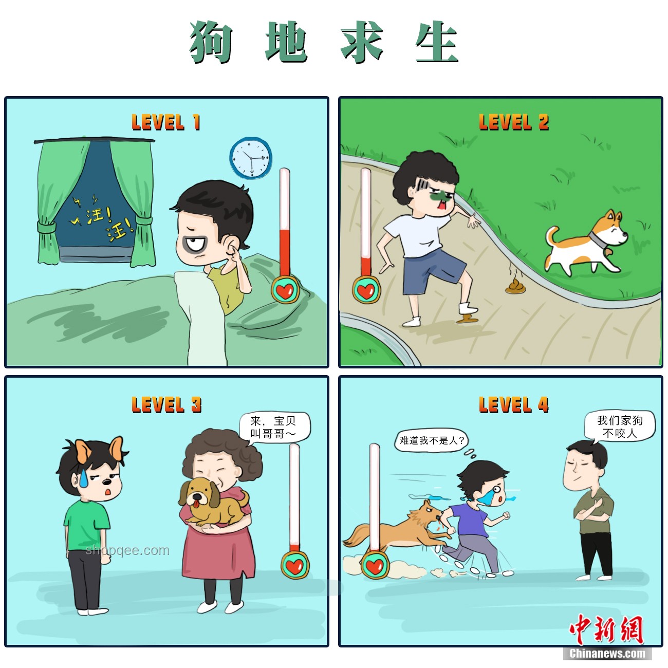 小狗遭棄與負(fù)責(zé)任養(yǎng)寵行為的對比分析