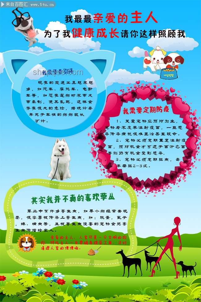 小狗遭棄與負(fù)責(zé)任養(yǎng)寵行為的對比分析