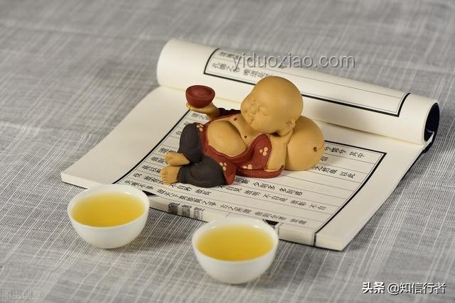 愚蠢至極，往往揭示真實：一種逆向思考的智慧