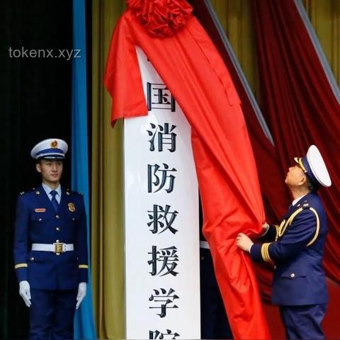 985高校普通專業(yè)與211高校王牌專業(yè)對(duì)比分析